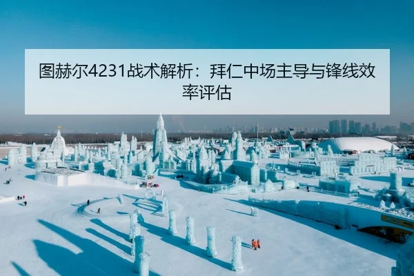 图赫尔4231战术解析：拜仁中场主导与锋线效率评估 - leyu